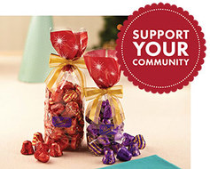 Fundraising program